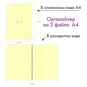 Папка-органайзер для документов формата А4 (комплект на 2 файла без крыльев) Арт. P-31